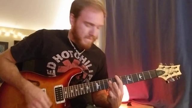 The Werks - "Duck Farm" cover смотреть онлайн