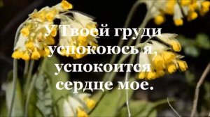 Ты мой Бог Святой.  Церковь "Спасение".