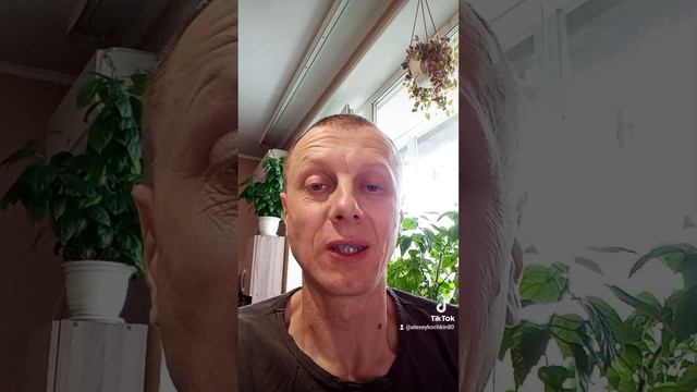 Проекция Разума на Твердь