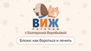 ВИЖ Питомцы.  Блохи: как бороться