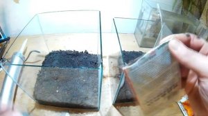 САМЫЕ ВЕЧНЫЕ ТЕРРАРИУМЫ . THE MOST ETHERNAl TERRARIUM