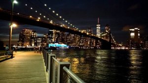 5636797-hd_1920_1080_30fps