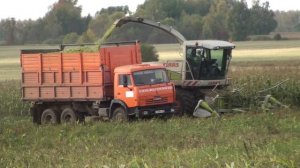 Заготовка силоса в ПЗ Семёновском.