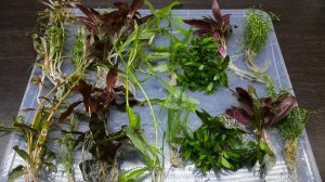 6500 К или 2700 К. УДИВИТЕЛЬНЫЕ ИТОГИ ЭКСПЕРИМЕНТА