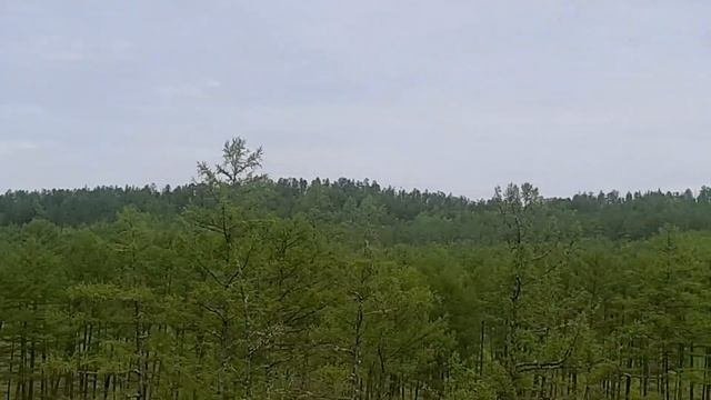2.Забайкалье,танцуем Амурские волны.Путешествие через всю страну из Биробиджана на Сев Кавказ 2023