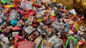 шоколадная фабрика дома СТАС Аскет