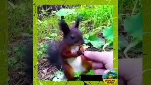 Какая она красивая!