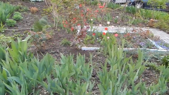 Влог Краснодар оживает на Карантине|Мой Макияж|Весна в Краснодаре смотреть онлайн