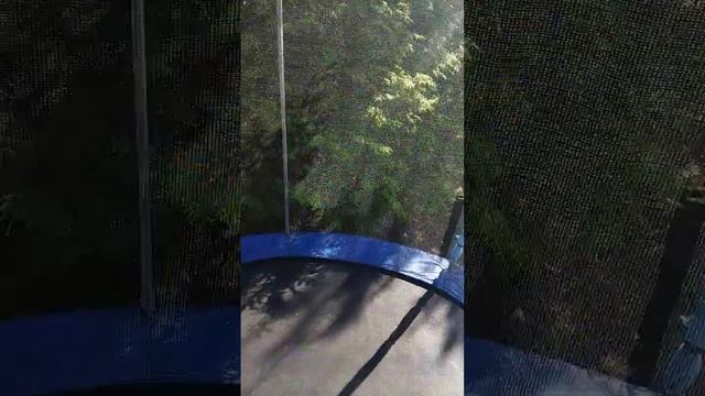 снова батут