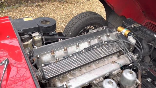 Jaguar Etype 1968 4.2L walk around #jaguar #jaguaretype #jaguarcars #jaguars #jaguarlovers #etype