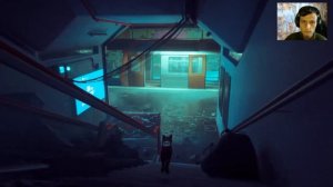 STRAY➤Сила солнечного света и дружбы(ФИНАЛ)