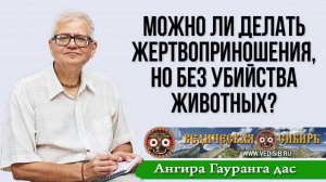 Можно ли делать жертвоприношения, но без убийства животных?