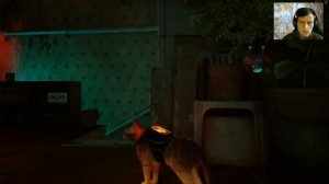 STRAY➤На побегушках у роботов