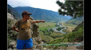 ГОРНЫЙ АЛТАЙ. ДОЛИНА РЕКИ ЧУЛЫШМАН. КАМЕННЫЕ ГРИБЫ