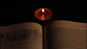 5873705-hd_1920_1080_25fps