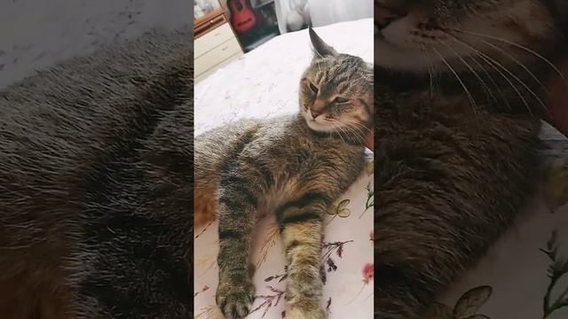 Ксения Анатольевна будет капельки