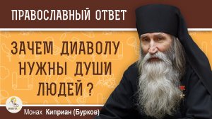 ЗАЧЕМ ДИАВОЛУ НУЖНЫ ДУШИ ЛЮДЕЙ ? Монах Киприан (Бурков)
