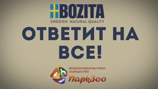 Bozita ответит на все вопросы - выставка