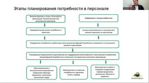 Урок 1  Основные этапы подбора персонала