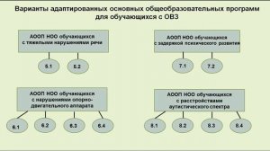 Видеолекция "Адаптированные основные общеобразовательные программы"