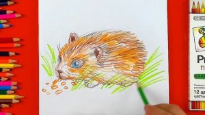 Хомячки Милашки - простые рисунки - РыбаКит папа рисует