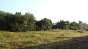 Бешкетово - Помошная, Кировоградская область, 2010