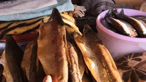 How Much Is the Fish? / Узнаём сколько стоит Омуль на рынке Байкала!