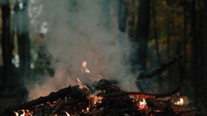 5596907-uhd_3840_2160_24fps