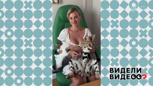 Радости котеринства. Видели видео? Фрагмент выпуска от 08.09.2024