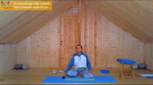 Шиповник, Доши, Йога в разное время, Посты, Александр Щетинин ЙОГА ОНЛАЙН Благость, 21.11.2018