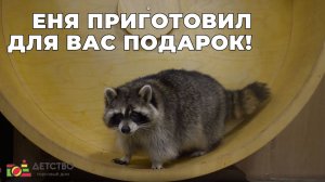 Подарки для наших клиентов от Ени!