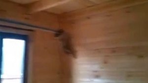 Отзыв о строительстве дома после усадки в Валдае