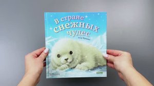 Книжки-картинки. В стране снежных чудес