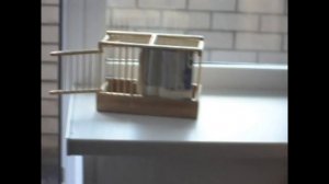 видео друзей