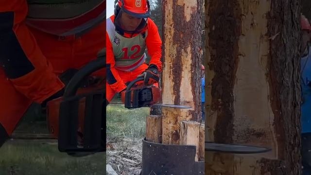 Юниор Матвей на соревнованиях в Карелии #zimani #stihl #husqvarna