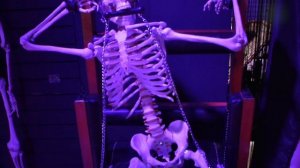 Музей эротики Pink Rabbit спб Розовый кролик