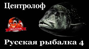 Русская рыбалка 4 Норвежское море редкий трофей. Центролоф черный
