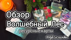 🌲🌲🌲ВОЛШЕБНЫЙ ЛЕС  ОБЗОР КАРТ  + РАСКЛАД