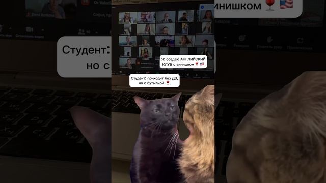 Питейный Клуб
