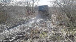 УАЗ 469 по болоту на 36 крокодилах