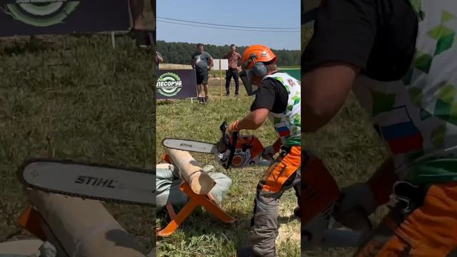 Эстафета пошла не по плану #stihl #zimani #husqvarna #лесоруб2024