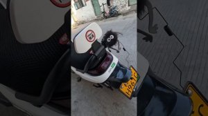 Коротко рассказываю о своем электроскутере Ninebot M95C