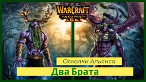 Warcraft 3: Reforged. Прохождение компании за Стражей Часть 2