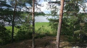 Умение наслаждаться тишиной, побыть сам с собой в уединении.