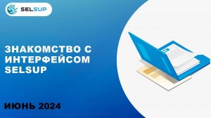 ЗНАКОМСТВО С ИНТЕРФЕЙСОМ SELSUP