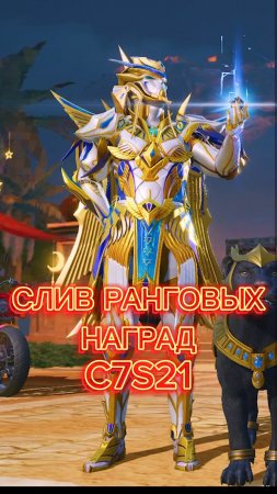 ранговые награды C7S21