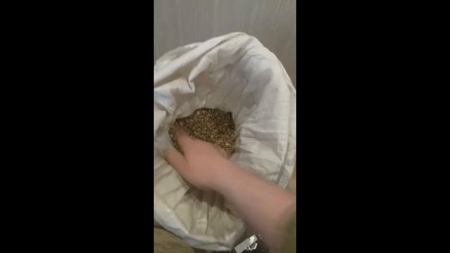 Видео друзей смотреть онлайн