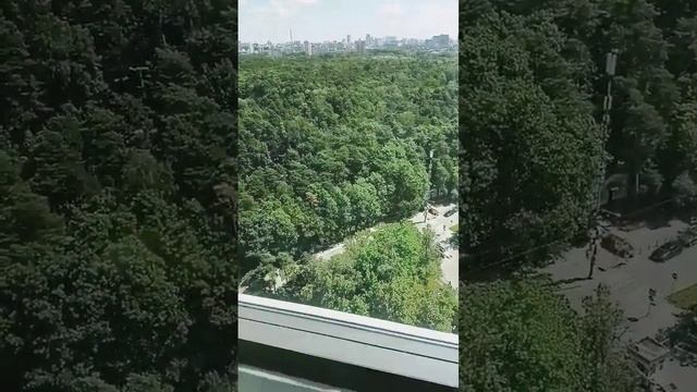 красота на 23
