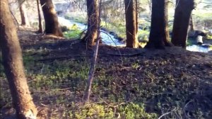 2020_05_08_Липчанские