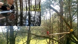 тестовый отстрел оптики 3-9x40 с алиэкспресс на stoeger x10